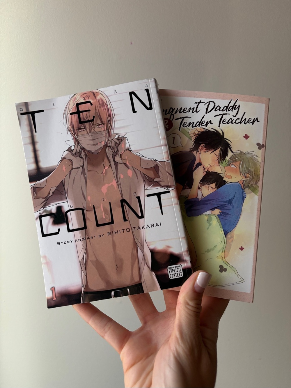 BL Manga Book Set 🩷 (boys love, yaoi)